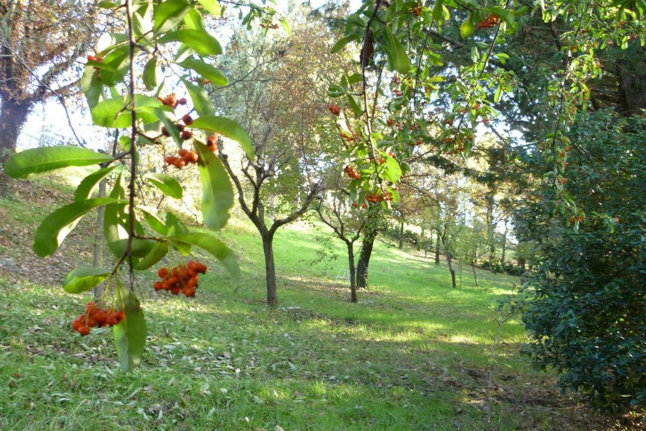 B&B Colle Di Terria Country House Contigliano Eksteriør bilde