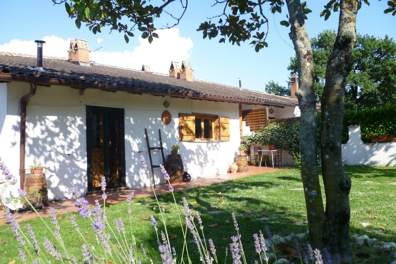 B&B Colle Di Terria Country House Contigliano Eksteriør bilde